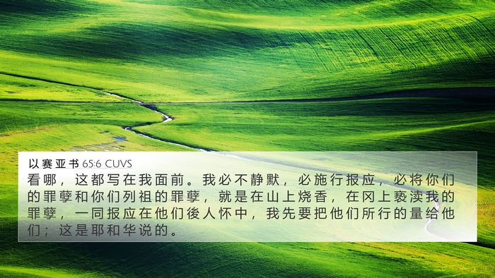以 赛 亚 书 65:6 CUVS Bible Verse Image