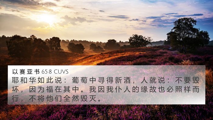 以 赛 亚 书 65:8 CUVS Bible Verse Image
