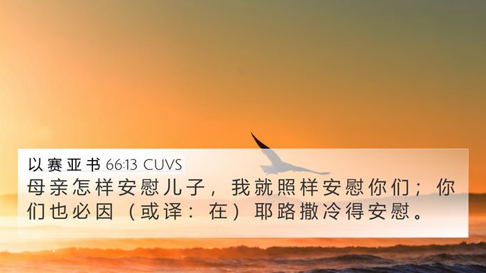 以 赛 亚 书 66:13 CUVS Bible Verse Image