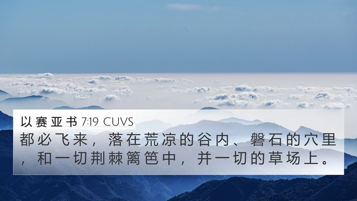 以 赛 亚 书 7:19 CUVS 4K Wallpaper - 都 必 飞 来 ， 落 在 荒 凉 的 谷 内 - 4K Wallpaper Bible Verse