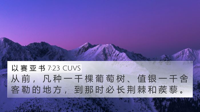 以 赛 亚 书 7:23 CUVS Bible Verse Image