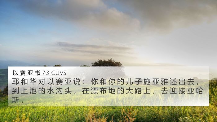 以 赛 亚 书 7:3 CUVS Bible Verse Image