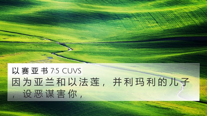 以 赛 亚 书 7:5 CUVS Bible Verse Image