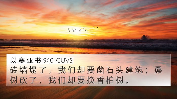 以 赛 亚 书 9:10 CUVS Bible Verse Image