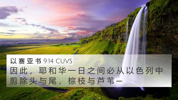 以 赛 亚 书 9:14 CUVS Bible Verse Image