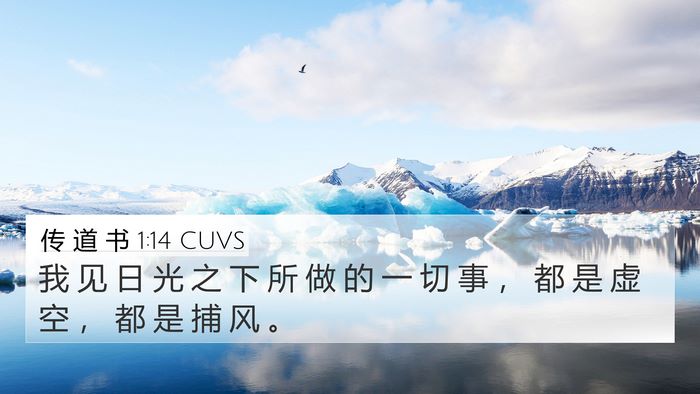 传 道 书 1:14 CUVS Bible Verse Image