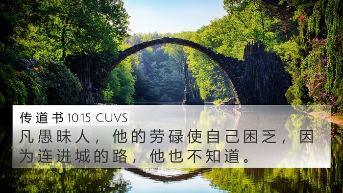 传 道 书 10:15 CUVS Bible Verse Image