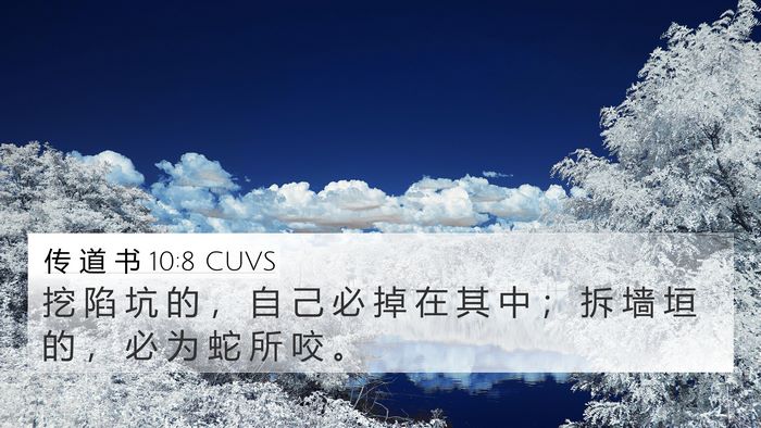 传 道 书 10:8 CUVS 4K Wallpaper - 挖 陷 坑 的 ， 自 己 必 掉 在 其 中 - 4K Wallpaper Bible Verse