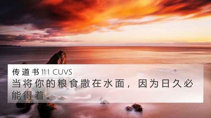 传 道 书 11:1 CUVS Bible Verse Image