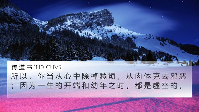 传 道 书 11:10 CUVS Bible Verse Image