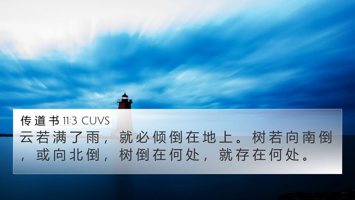 传 道 书 11:3 CUVS 4K Wallpaper - 云 若 满 了 雨 ， 就 必 倾 倒 在 地 - 4K Wallpaper Bible Verse