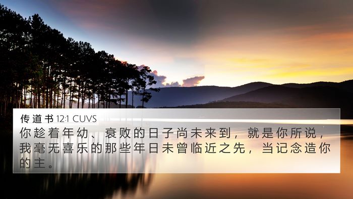 传 道 书 12:1 CUVS Bible Verse Image
