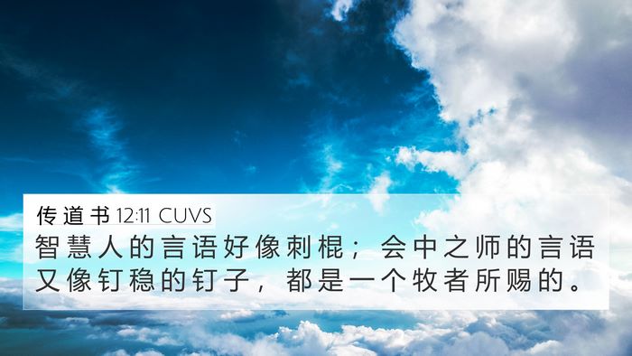 传 道 书 12:11 CUVS Bible Verse Image