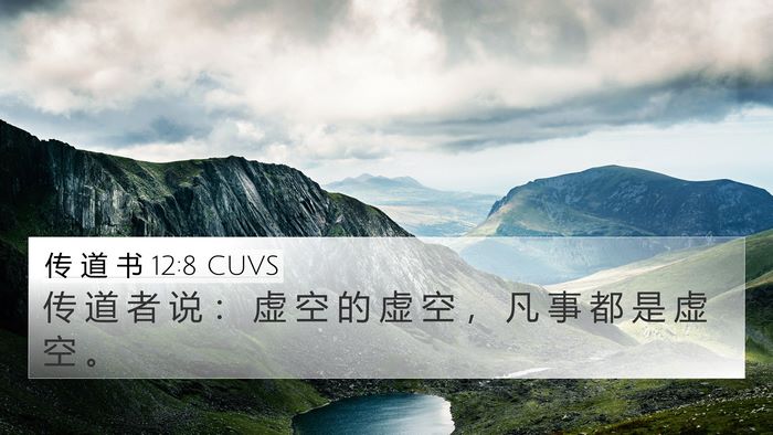 传 道 书 12:8 CUVS Bible Verse Image