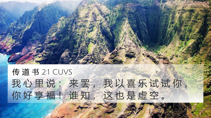 传 道 书 2:1 CUVS Bible Verse Image