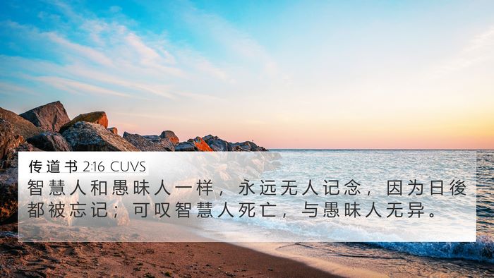 传 道 书 2:16 CUVS Bible Verse Image