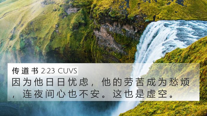 传 道 书 2:23 CUVS Bible Verse Image