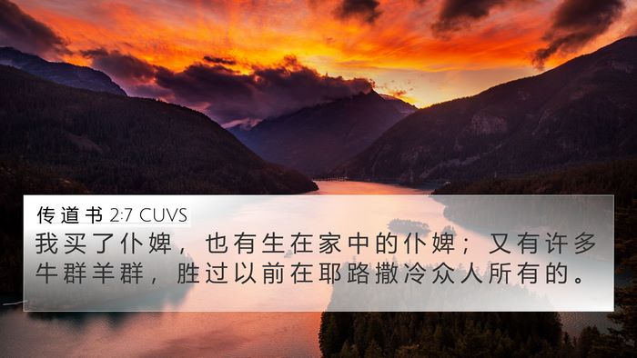 传 道 书 2:7 CUVS 4K Wallpaper - 我 买 了 仆 婢 ， 也 有 生 在 家 中 - 4K Wallpaper Bible Verse