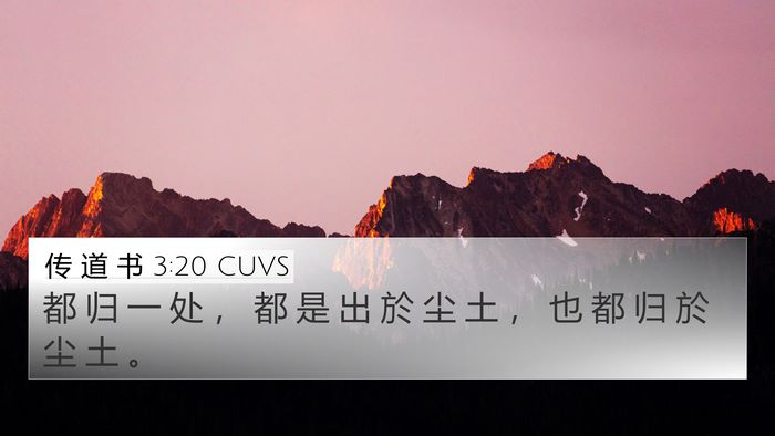传 道 书 3:20 CUVS Bible Verse Image