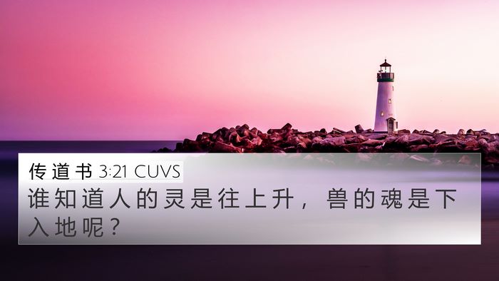 传 道 书 3:21 CUVS Bible Verse Image