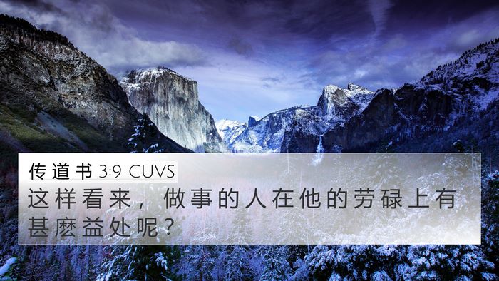 传 道 书 3:9 CUVS Bible Verse Image