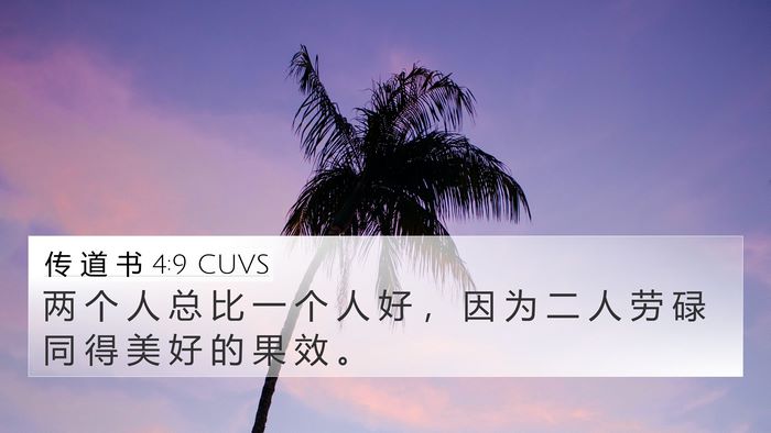 传 道 书 4:9 CUVS Bible Verse Image