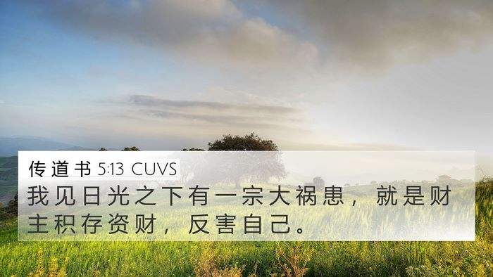 传 道 书 5:13 CUVS Bible Verse Image