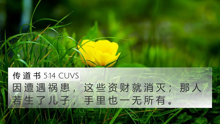 传 道 书 5:14 CUVS 4K Wallpaper - 因 遭 遇 祸 患 ， 这 些 资 财 就 消 - 4K Wallpaper Bible Verse