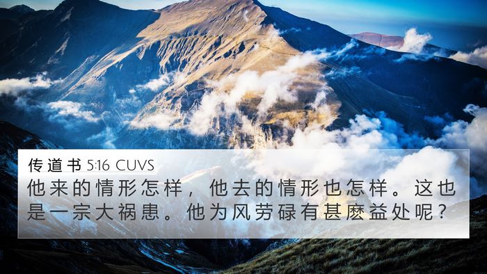传 道 书 5:16 CUVS Bible Verse Image
