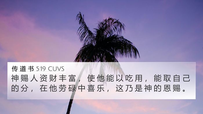 传 道 书 5:19 CUVS Bible Verse Image