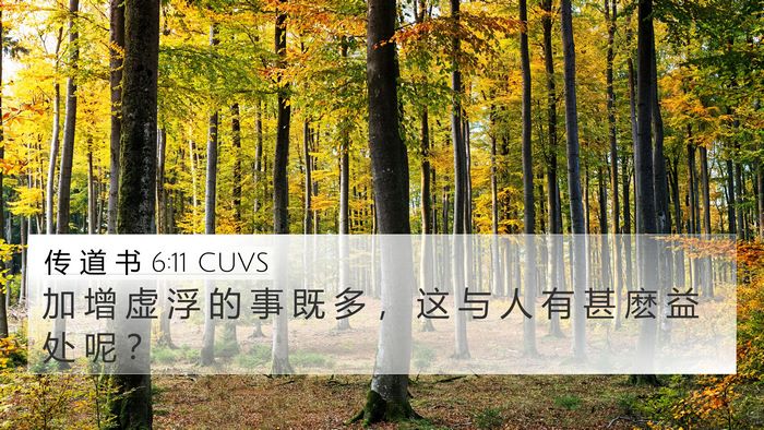 传 道 书 6:11 CUVS Bible Verse Image