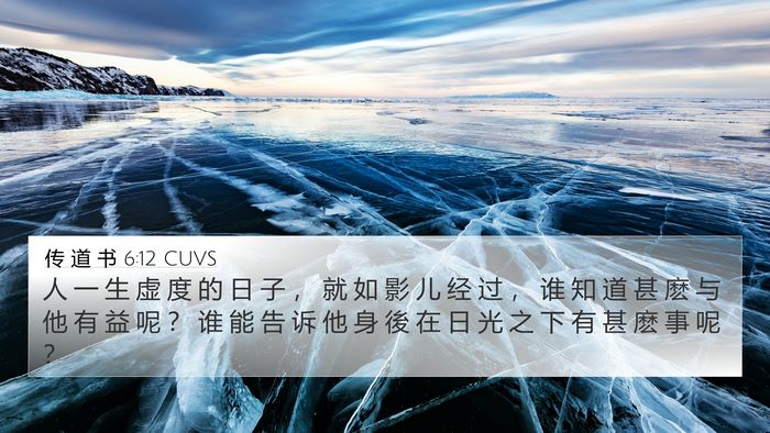 传 道 书 6:12 CUVS Bible Verse Image