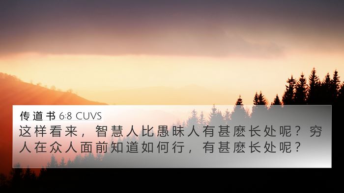 传 道 书 6:8 CUVS Bible Verse Image