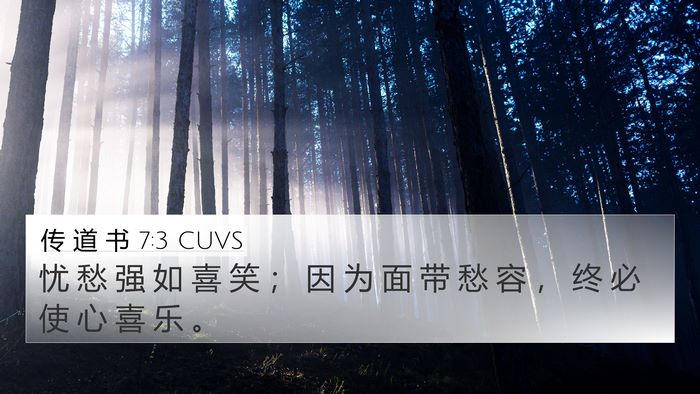 传 道 书 7:3 CUVS Bible Verse Image