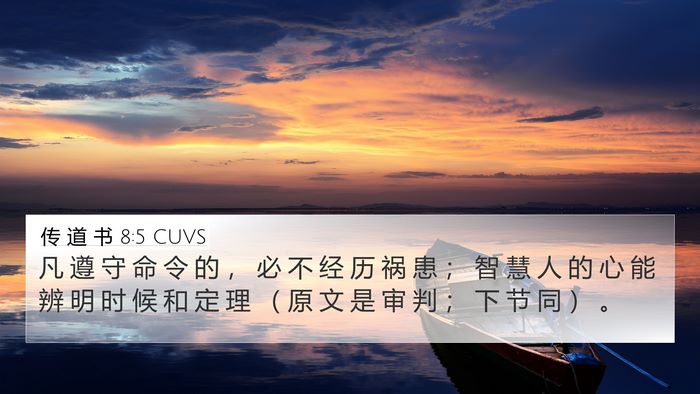 传 道 书 8:5 CUVS 4K Wallpaper - 凡 遵 守 命 令 的 ， 必 不 经 历 祸 - 4K Wallpaper Bible Verse