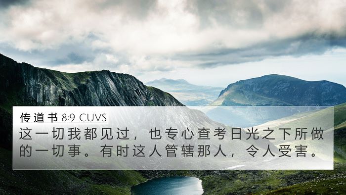 传 道 书 8:9 CUVS Bible Verse Image