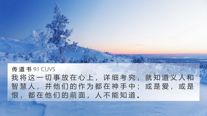 传 道 书 9:1 CUVS Bible Verse Image