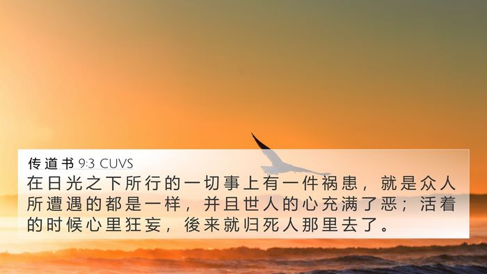 传 道 书 9:3 CUVS Bible Verse Image