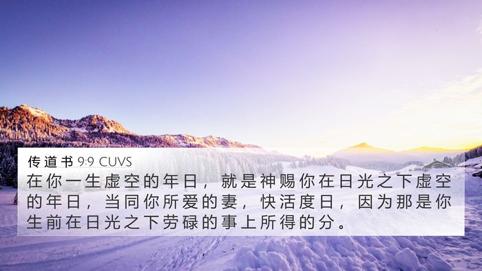 传 道 书 9:9 CUVS Bible Verse Image