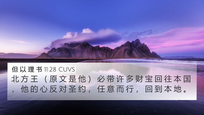 但 以 理 书 11:28 CUVS Bible Verse Image