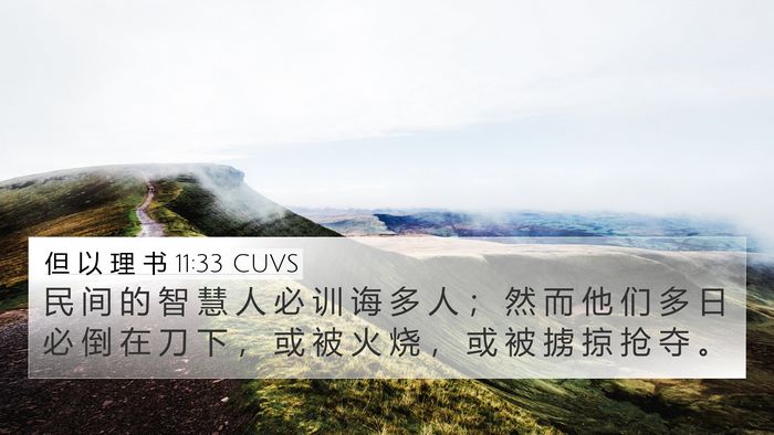 但 以 理 书 11:33 CUVS Bible Verse Image