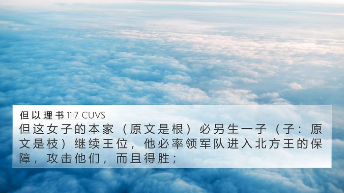 但 以 理 书 11:7 CUVS 4K Wallpaper - 但 这 女 子 的 本 家 （ 原 文 是 根 - 4K Wallpaper Bible Verse