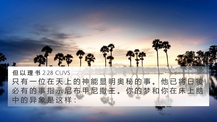 但 以 理 书 2:28 CUVS Bible Verse Image