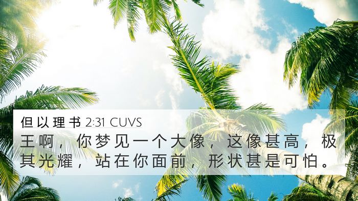 但 以 理 书 2:31 CUVS 4K Wallpaper - 王 啊 ， 你 梦 见 一 个 大 像 ， 这 - 4K Wallpaper Bible Verse