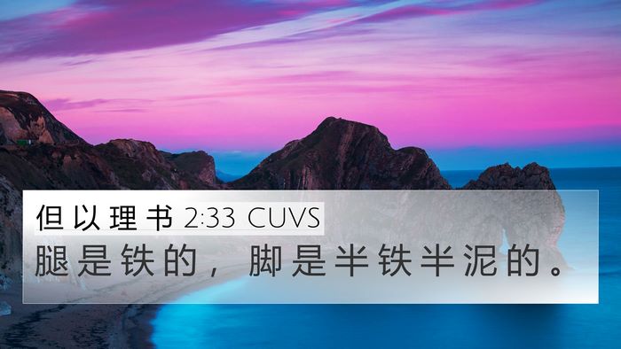 但 以 理 书 2:33 CUVS Bible Verse Image