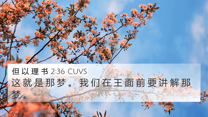 但 以 理 书 2:36 CUVS 4K Wallpaper - 这 就 是 那 梦 。 我 们 在 王 面 前 - 4K Wallpaper Bible Verse