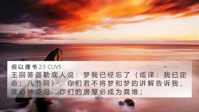 但 以 理 书 2:5 CUVS 4K Wallpaper - 王 回 答 迦 勒 底 人 说 ： 梦 我 已 - 4K Wallpaper Bible Verse