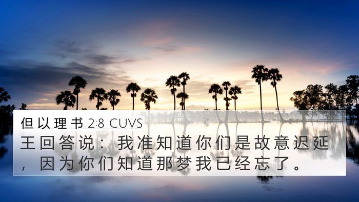 但 以 理 书 2:8 CUVS 4K Wallpaper - 王 回 答 说 ： 我 准 知 道 你 们 是 - 4K Wallpaper Bible Verse