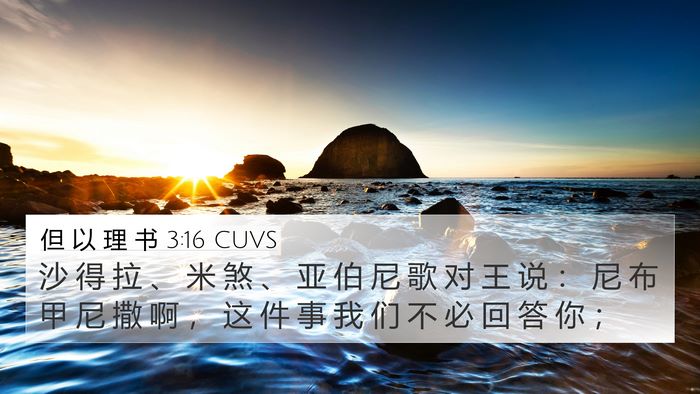 但 以 理 书 3:16 CUVS Bible Verse Image