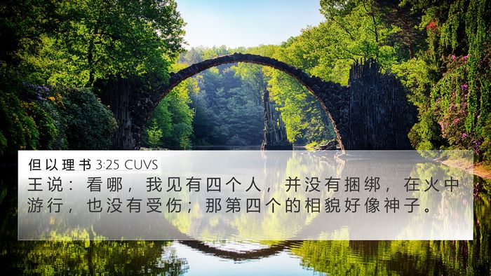 但 以 理 书 3:25 CUVS Bible Verse Image